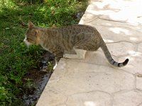 foto 093